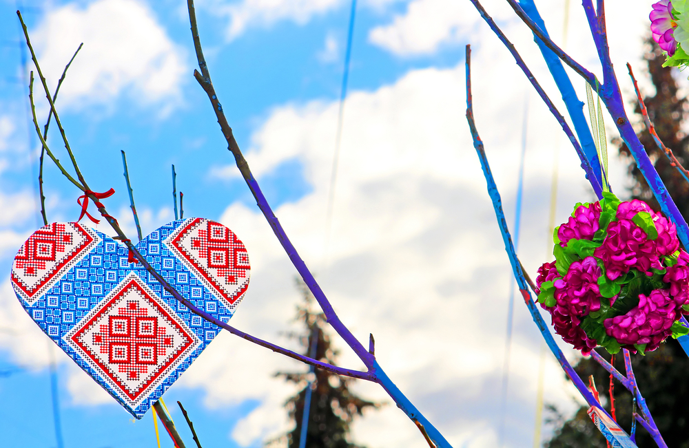 українська вишиванка орнамент орнамент для вишиванки орнамент вишиванки значення